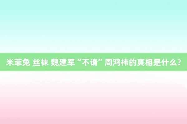 米菲兔 丝袜 魏建军“不请”周鸿祎的真相是什么?