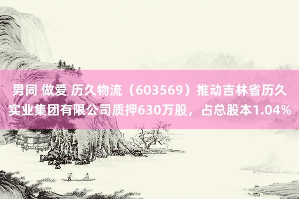 男同 做爱 历久物流（603569）推动吉林省历久实业集团有限公司质押630万股，占总股本1.04%