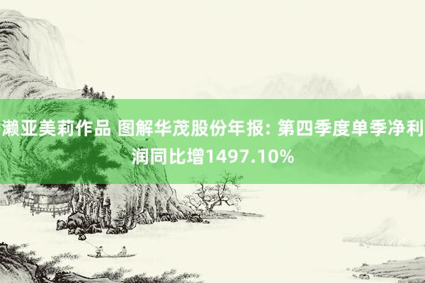 濑亚美莉作品 图解华茂股份年报: 第四季度单季净利润同比增1497.10%