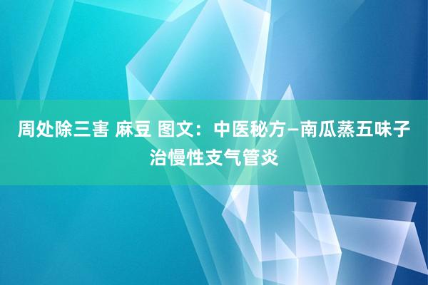 周处除三害 麻豆 图文：中医秘方—南瓜蒸五味子治慢性支气管炎
